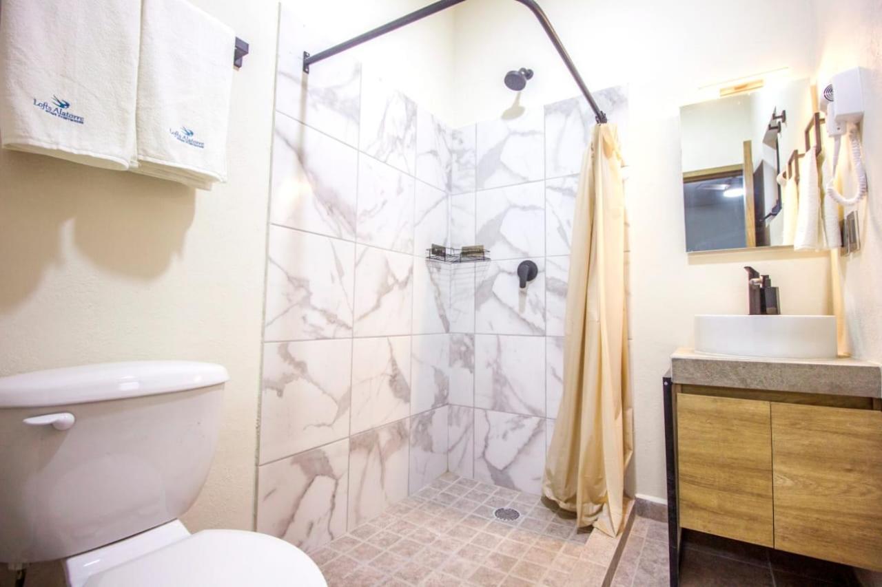 Loft Alatorre Aparthotel กัวดาลาฮารา ภายนอก รูปภาพ